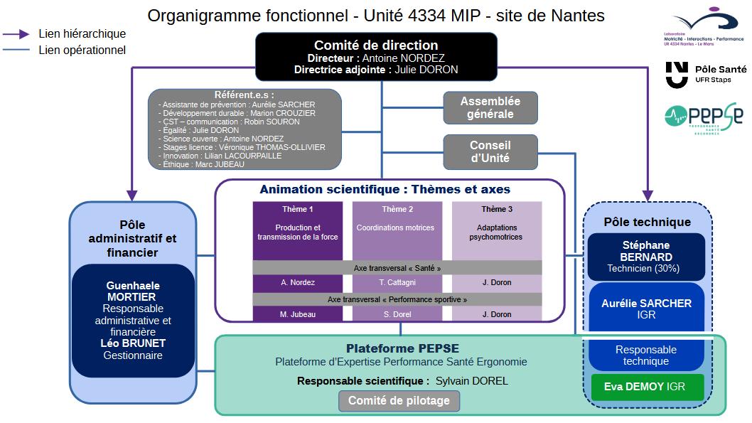 organigramme Laboratoire MIP